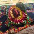 /album/fotogaleria-panama-zajazd-vy-a-my/img-20241030-wa0114-1-jpg/